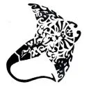 Koa Sailing School logo