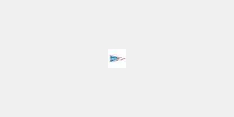 Sail Solomons logo
